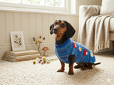 Halloween Dog Jumper with Fly Agaric Mushrooms Bee and Flowers