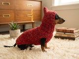 Mohair Dog Sweater and Hat Set: Warm Winter Dachshund Suit