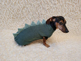 Cozy Dinosaur Dog Jumper – Unique Pet Gift for Small Dogs