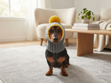Monkey pet hat with big pompom, warm winter dog hat with pompom