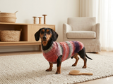 Sausage clothes knitted sweater, clothes warm sweater dachshund puppy, knitted sweater for dachshund dog, clothes for dachshunds