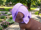 Knitted summer panama for dog, panama for dachshund, summer hat for dog