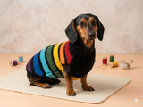 Rainbow striped dachshund sweater, rainbow dog clothes, knitted rainbow striped dachshund jumper