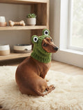 Handmade Crochet Frog Snood for Dachshunds | Cute Dog Balaclava & Winter Pet Apparel