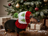 Spruce branch Paw Print Dog Hat PomPom, Designer Pet Party Clothes outfit, Warm Winter knitted Dachshund cap with Pattern, gift dogs lover