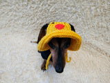 Duck Summer sun hat dogs with holes for ears. Hand knitted sun cap dachshund. Stylish Pet Photo Props and Gift Dog Moms