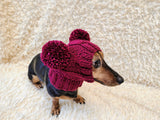 Hand-Knitted Dachshund Snood with Pompoms, Funny Dog Hat for Small Breeds, Animal Style Knitted Dog Hood, Cozy Dachshund Winter Headwear