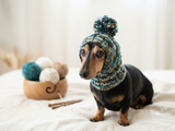 Chunky Knit Dog Hat with Fluffy Pom-Pom | Warm Dog Balaclava Snood