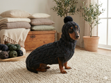 Alpaca wool costume with classic arana sweater and hat for dachshund or small dog, winter set sweater and hat for dogs