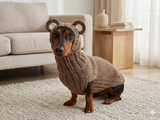 Bear costume made of alpaca wool for dogs, dachshund bear set sweater and hat