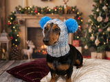 Hat winter pet wool with pompoms,clothes warm hat for dog