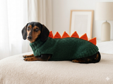 Dinosaur dragon  dog sweater zoo animal dog clothes