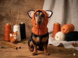 Fox dog clothes hat snood, dachshund snood fox