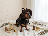 Bear Summer sun hat dogs with holes for ears. Hand knitted sun cap dachshund. Stylish Pet Photo Props and Gift Dog Moms