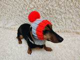 Dog hat pom-poms, warm winter clothes for pets, cap cloches ears dachshunds outfit apparel, pet lover gift
