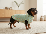 Jumper with flowers for a mini dachshund,Sweater with flowers and butterflies for miniature dachshund or small dog.