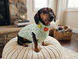 Handmade Cable Knit Dachshund Sweater | Warm Dog Clothes