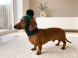 Handmade Knit Dachshund Snood with Pom-Pom - Winter Dog Hat for Doxies & Small Breeds - Ear Warmer & Neck Gaiter