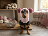 Winter wool melange aran hat for dog with two large pompoms