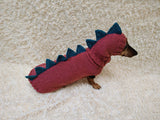 Knitted Dinosaur Dog Costume – Warm Dino Sweater with Matching Hat