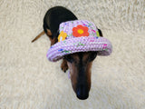 Crochet Dog Sun Hat with Flower Appliqué - Handmade Dachshund Bucket Hat - Floral Pet Summer Accessory - Cute Dog Bonnet with Ear Holes