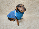Dachshund Sweater with Flowers - Exclusive Warm Winter Clothes for Dogs