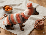 Knitted suit sweater and hat for dog, Dachshund clothes knitted suit sweater and hat, wiener costume sweater and hat