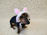 Easter bunny Dog Bucket Hat, summer panama cap with open ears dachshund, pet clothes photo shoot gift dog's mom
