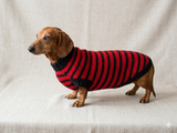 Red with black stripes dog knitted sweater, clothes for dachshund, sweater dog, clothes for dog, sweater for small dogs, dachshund sweater