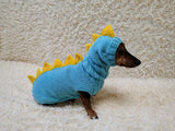 Dinosaur Dachshund Sweater with Hat  Knitted Dog Costume for Wieners