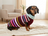 Handmade Knit Dachshund Sweater - Colorful Striped Dog Clothes