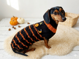 Halloween Pumpkin Pet Clothes,Dog Clothes Jumper Halloween Pumpkin ,Halloween Gift Dog Photo Shoot