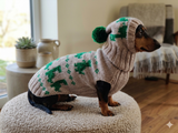 Dinosaur Costume for Dog Jumper and Pompom Hat Set