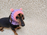Double Pom Pom Dog Hat — Warm Wool Blend Winter Accessory