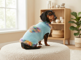 Valentine's day dog clothes with heart, dog jumper with rainbow heart