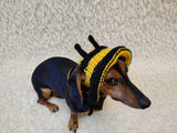 Bee Dog Bucket Hat, summer panama cap with open ears dachshund, pet clothes photo shoot gift dog's mom