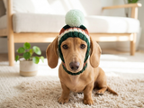 Comfort-Fit Knitted Dog Snood for Dachshunds - Soft Ribbed Dog Hat with Pom-Pom - Stay-On Winter Headwear for Long-Haired & Smooth Doxies