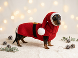 Santa costume for dachshunds, christmas dachshund santa costume hat and sweater