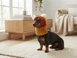 Candy Corn Dog Hat,hat for dog popcorn, halloween hat for dog popcorn, hat for dachshund popcorn