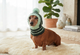 Clothes for small dog handmade knitted green hat with pompon