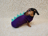 Knitted Dinosaur Costume for Dogs - Custom Dachshund Sweater