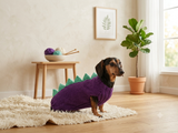 Knitted Dinosaur Costume for Dogs - Custom Dachshund Sweater