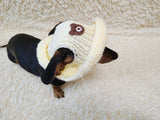 Teddy Bear Summer sun hat dogs with holes for ears. Hand knitted sun cap dachshund. Stylish Pet Photo Props and Gift Dog Moms