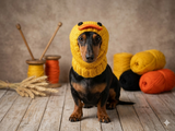 Duck dog clothes hat snood, dachshund snood Duck