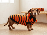 Orange and black striped knitted sweater with pompoms for dachshund or small dog