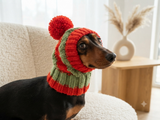 Dog hat with pom poms wool, warm hat for dachshund, wool hat for small dogs