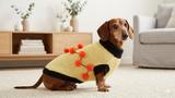 Sweater for a dog lot of pompons, sweater Halloween for dog