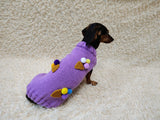 Dog Sweater with Ice Cream, Knitted Puppy Clothes, Cute Small Dog Clothes, Handmade Pet Sweater, Ice Cream Cone Dog Outfit