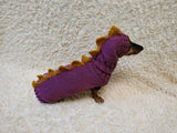 Custom Dinosaur Dog Hoodie Sweater – Cozy Handmade Pet Clothing