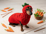 Carrot Dog Costume Sweater and Hat Set
